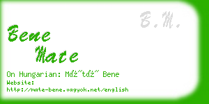 bene mate business card